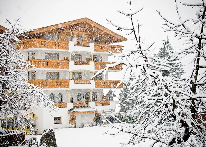 酒店 斯图拜尔霍夫酒店 4*